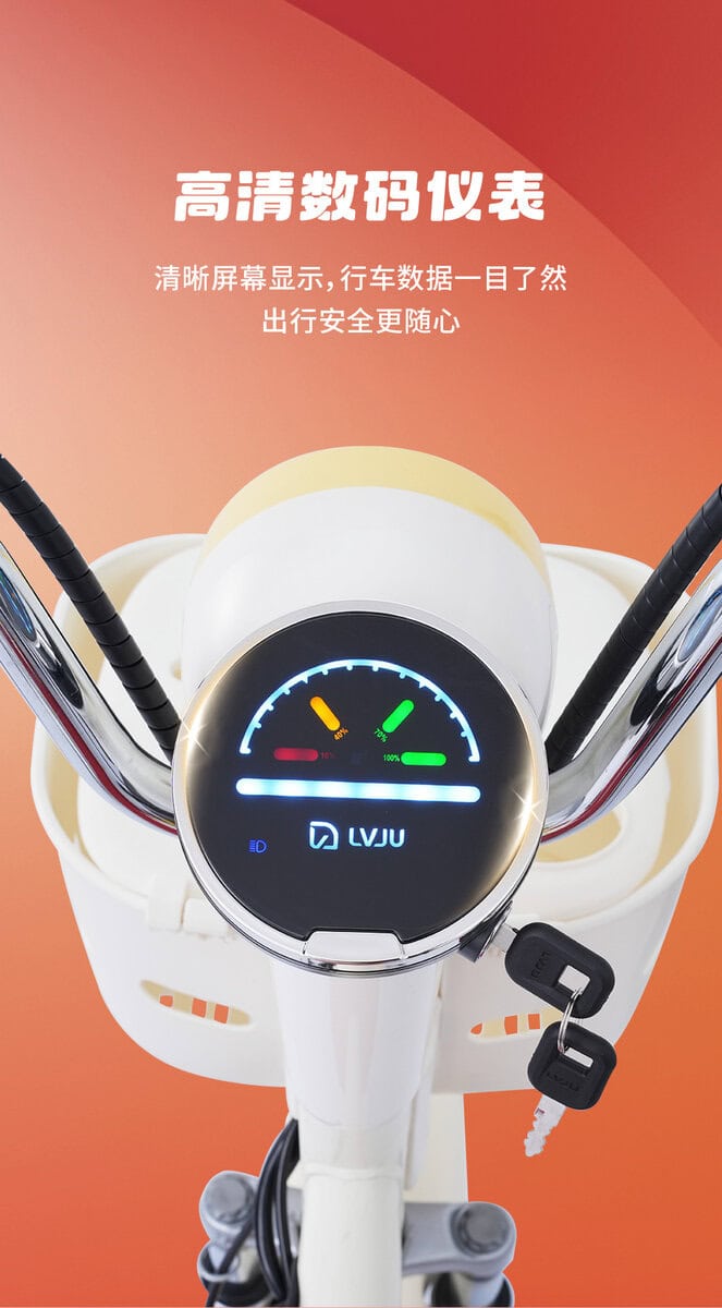 Electric scooter dashboard showing speedometer and control panel with clear digital display and handlebars for easy riding control.